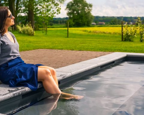 A technical flow chart showing how Bluematic connects solar panels, heat pumps, and filtration systems to optimize energy consumption.