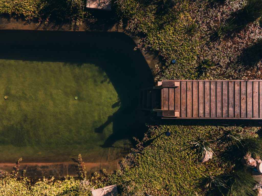 Top-down aerial view of a green natural pool with a wooden jetty surrounded by lush vegetation.