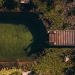 Top-down aerial view of a green natural pool with a wooden jetty surrounded by lush vegetation.