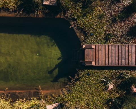 Top-down aerial view of a green natural pool with a wooden jetty surrounded by lush vegetation.