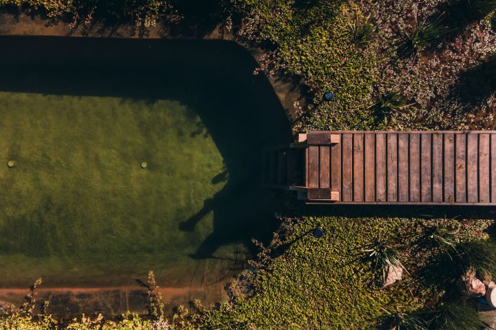 Top-down aerial view of a green natural pool with a wooden jetty surrounded by lush vegetation.