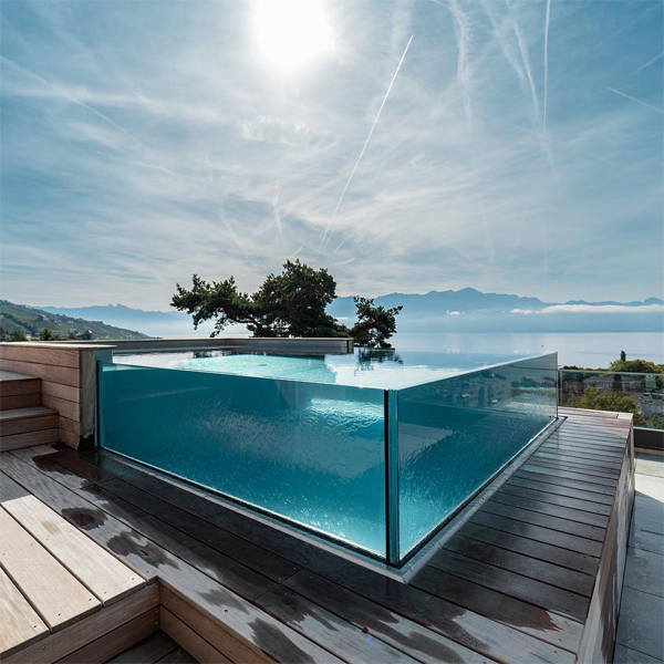 Stainless steel infinity pool with glass walls overlooking Lake Geneva by Talya
