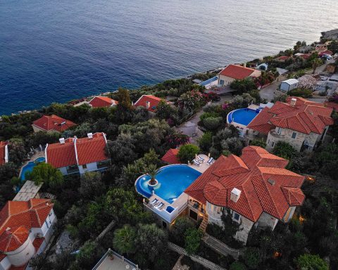 High angle aerial shot of luxury coastal houses featuring private blue swimming pools surrounded by green trees