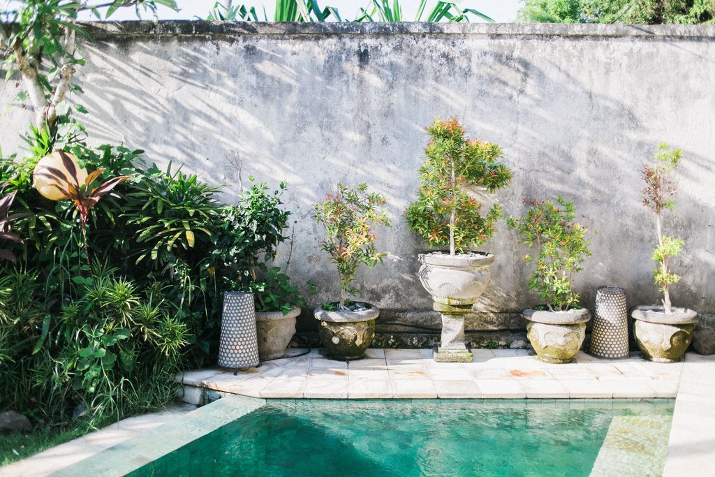A small rectangular swimming pool edge framed by decorative ceramic planters and a textured concrete wall